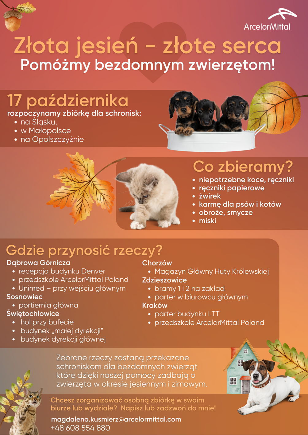 Pomóżmy bezdomnym zwierzętom